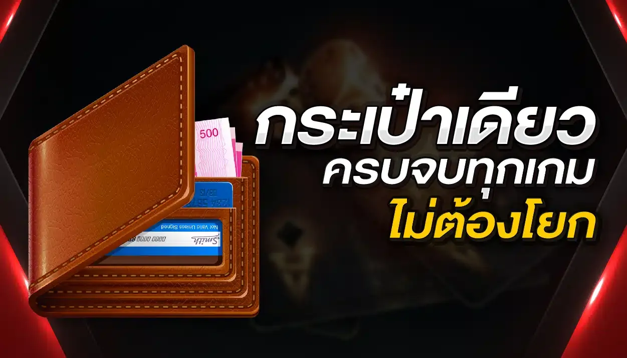 กระเป๋าเดียว by likegame365
